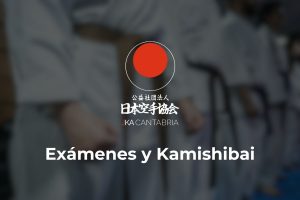Lee más sobre el artículo Exámenes y Kamishibai