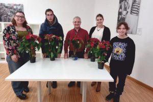 Lee más sobre el artículo Bonsai navideño