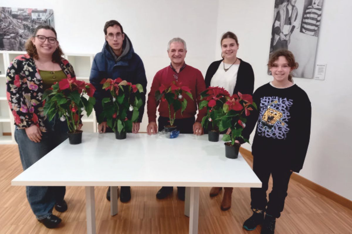 En este momento estás viendo Bonsai navideño