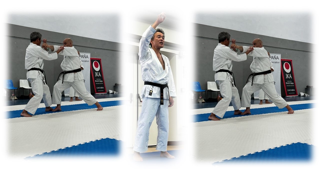 Curso internacional