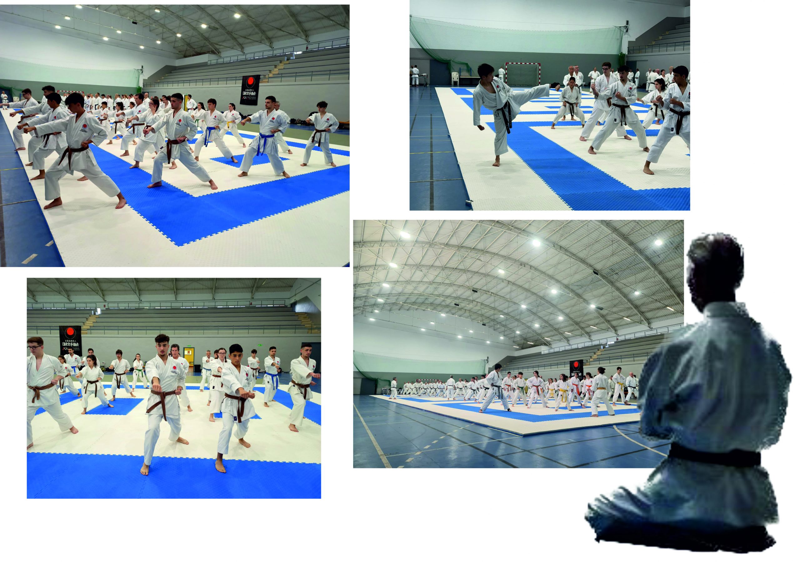 Curso internacional