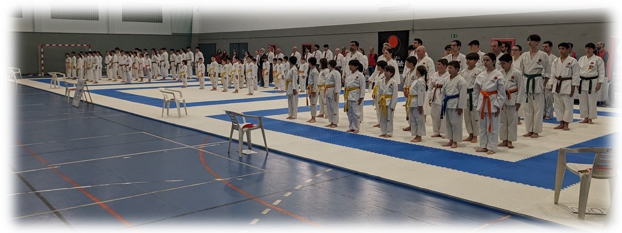 Actividades abril