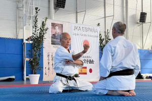 Lee más sobre el artículo Curso Getxo 2019