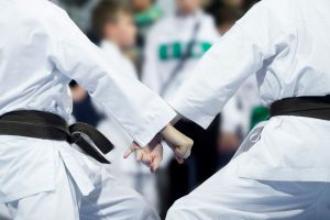Lee más sobre el artículo II Gasshuku JKA Europa – Bruselas 2017